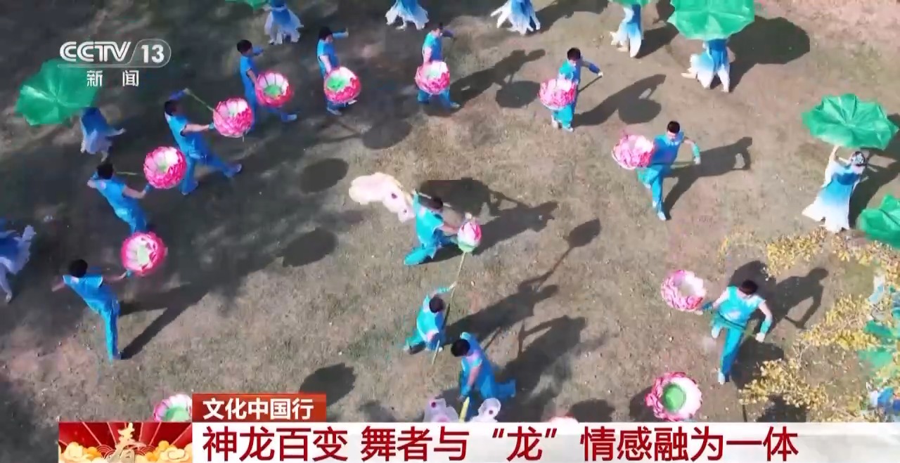 龙、百叶龙……来看不拘一格的龙舞之美冰球突破豪华版文化中国行丨火龙、板凳(图16)